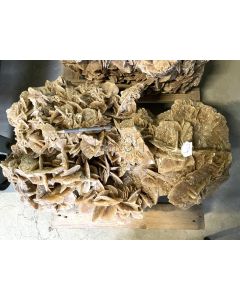 Sandrose; Tunesien; ca. 55 kg
