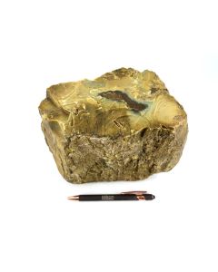 Fossiles (versteinertes) Holz mit grünem und gelbem Opal; roh; Garut, Java, Indonesien; 5 kg