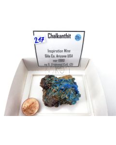 Chalkanthit xx; Inspiration Mine, Gila Co., Arizona, USA; Gerd Tremmel Sammlung; KS (217)