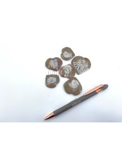 Ammoniten, Herzform, 2-4 cm mit Loch als Anhänger, 1 Stück