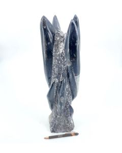 Orthoceras Skulptur, 40 - 45 cm, poliert, Marokko, 1 Stück