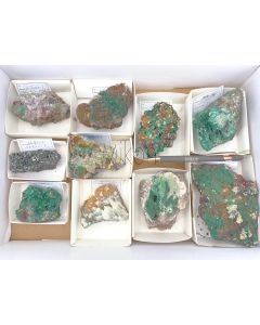 Mineralien gemischt; Tsumeb, Namibia; Ilse Baer Sammlung; 1 Steige, Unikat (10943)
