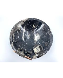 Orthoceras-Schale mit Ammonit, rund, schwarz, ca. 32 cm, 4 kg; Einzelstück