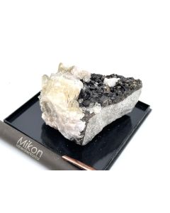 Sphalerit (Zinkblende) xx; Polaris Mine, Little Cornwallis Island, NWT, Kanada; HS