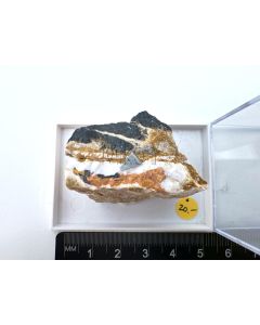 Palenzonait; Molinello Mine, Genova, Val Graveglia, Ligurien, Italien; KS (411)