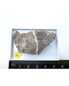 Nickelin; Alistos, Sinaloa, Mexiko; KS (433)