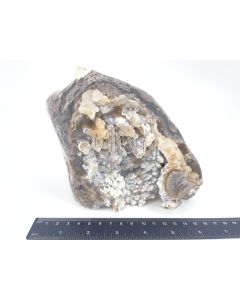 Chalcedon braun, weiß, hellblau; drusig, poliert; Indonesien; Einzelstück 1,8 kg