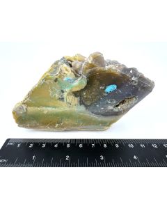 Fossiles (versteinertes) Holz mit grünem Opal; einseitig poliert; Garut, Java, Indonesien; Einzelstück 650 g