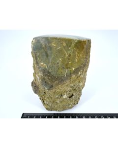Fossiles (versteinertes) Holz mit grünem Opal; einseitig poliert; Garut, Java, Indonesien; Einzelstück 1,3 kg