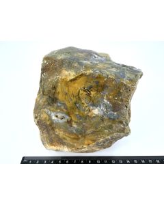 Fossiles (versteinertes) Holz mit grünem Opal; einseitig poliert; Garut, Java, Indonesien; Einzelstück 2 kg