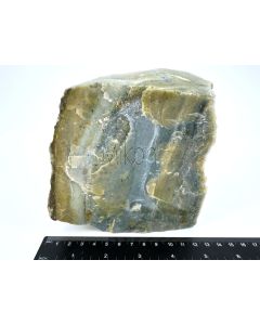 Fossiles (versteinertes) Holz mit grünem Opal; einseitig poliert; Garut, Java, Indonesien; Einzelstück 1,4 kg