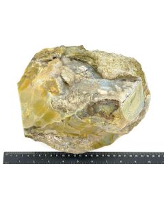 Fossiles (versteinertes) Holz mit grünem Opal; einseitig poliert; Garut, Java, Indonesien; 6,9 kg; Einzelstück 