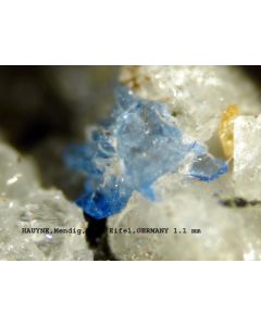 Hauyn xx; Niedermendig, Laacher See, Mayen, Eifel, Deutschland; MM