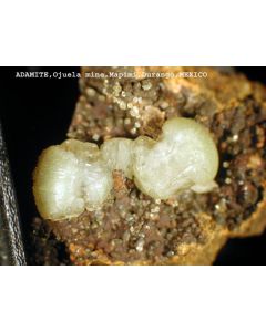 Adamin xx; Mina Ojuela, Durango, Mexiko; MM