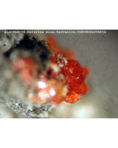 Alacranit xx; Katharina Mine, Radvanice, Tschechien; KS