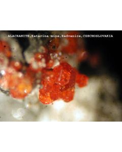 Alacranit xx; Katharina Mine, Radvanice, Tschechien; MM