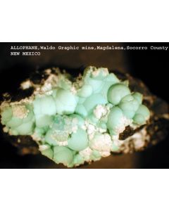 Allophan; Hilarion Mine, Laurion, Griechenland; KS
