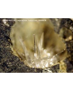 Anglesit xx; Legraina, Laurion, Griechenland; KS