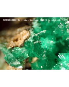 Annabergit xx; Km 3 Mine, Laurion, Griechenland; NS