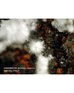 Canavesit xx; Brosso Mine, Torino, Piemont, Italien; KS