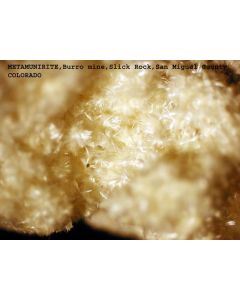 Metamunierit xx; Burro Mine, Slick Rock, CO, USA; KS
