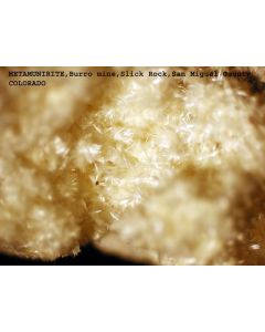 Metamunierit xx; Burro Mine, Slick Rock, CO, USA; MM