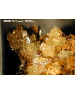 Mimetite xx; Tsumeb Mine, Otavi Bergland, Namibia; MM