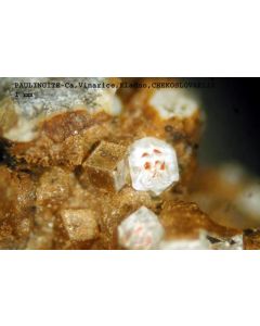 Paulingit - Ca xx; Vinarice, Tschechien; KS