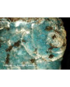 Plancheit xx; Guchab Station, Kombat, Namibia; KS