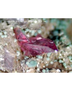 Roselit - beta xx; Ambed-3, Bou Azzer, Marokko; MM