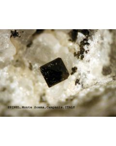 Spinell - (Fe) xx; San Vito Quarry, Monte Somma, Vesuv, Neapel, Italien; KS