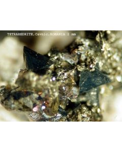 Tetrahedrit xx; Bradisor, Brad, Rumänien; NS