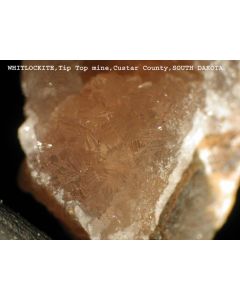 Whitlockit xx/(xx); Palermo Mine, North Groton, Grafton Co., NH, USA; KS