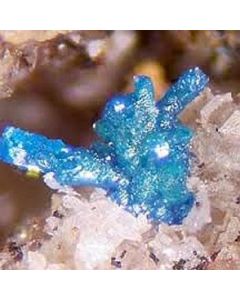 Boleit xx; Rowley Mine, AZ, USA; MM
