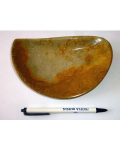 Bowl made of petrified coral, free form, app. 15 cm, fully polished, 1 piece