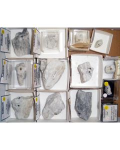 Sphalerit (Zinkblende) xx; Grube Lengenbach, Binntal, Wallis, Schweiz; NS