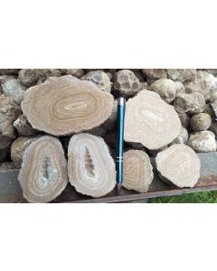 Aragonite, Eichelberger nodules, Austria, 1 kg