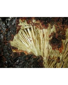 Allanpringite (xx); Grube Mark, Taunus, D.; KS