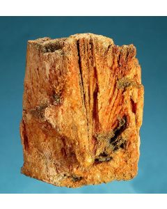 Halit; Wansleben, Deutschland; KS