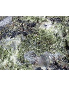 Cerchiarait - (Mn) (xx); Cerchiara Mine, Borghetto di Vara, La Spezia, Italien; KS
