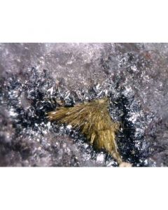 Cerchiarait - (Mn) (xx); Cerchiara Mine, Borghetto di Vara, La Spezia, Italien; MM