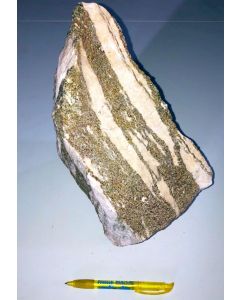 Pyrit in Dolomit; Lengenbach, Schweiz; MS