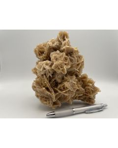 Desert roses; medium, 1kg - 5kg, Tunesia; 100 kg