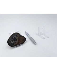 Adjustable display stand; small; 10 piece