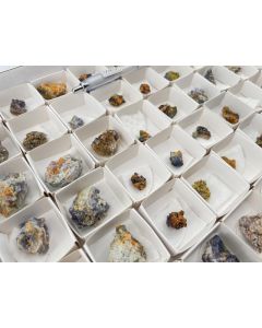 Wulfenit xx; Cholla Cat Mine, Arizona, USA; MM