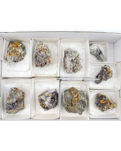 Wulfenit xx; Alamo Mining District, Arizona, USA; NS