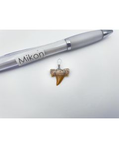 Haifischzähne; verdrahtet als Anhänger, Marokko; 1 Stück