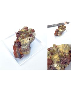 Paradamin xx; Mina Ojuela, Mapimi, Mexiko; KS