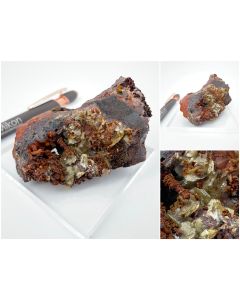 Paradamin xx; Mina Ojuela, Mapimi, Mexiko; NS