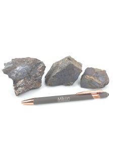 Sarkinit, Karyopilit; Harstigen, Schweden; KS